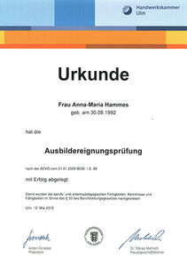 Ausbildereignungsprüfung Ausbildereignungsprüfung